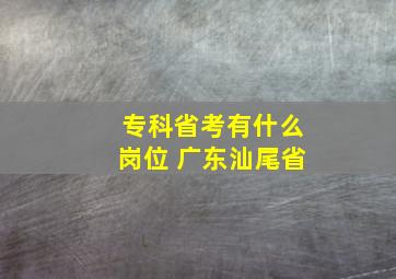 专科省考有什么岗位 广东汕尾省